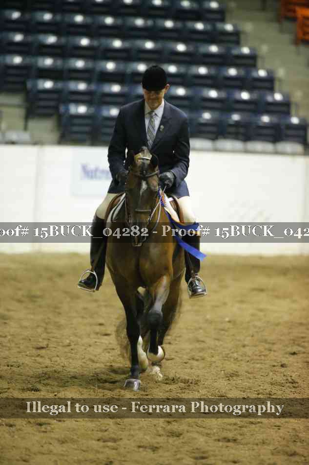 Proof 15BUCK_04282