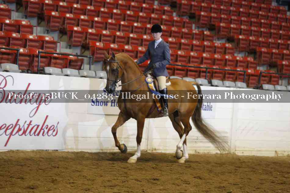 Proof 15BUCK_04283