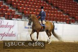 15BUCK_04283 proof