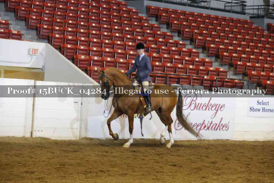 Proof 15BUCK_04284