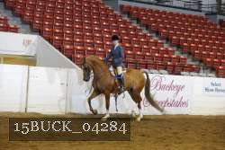 15BUCK_04284 proof