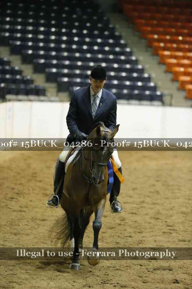 Proof 15BUCK_04286
