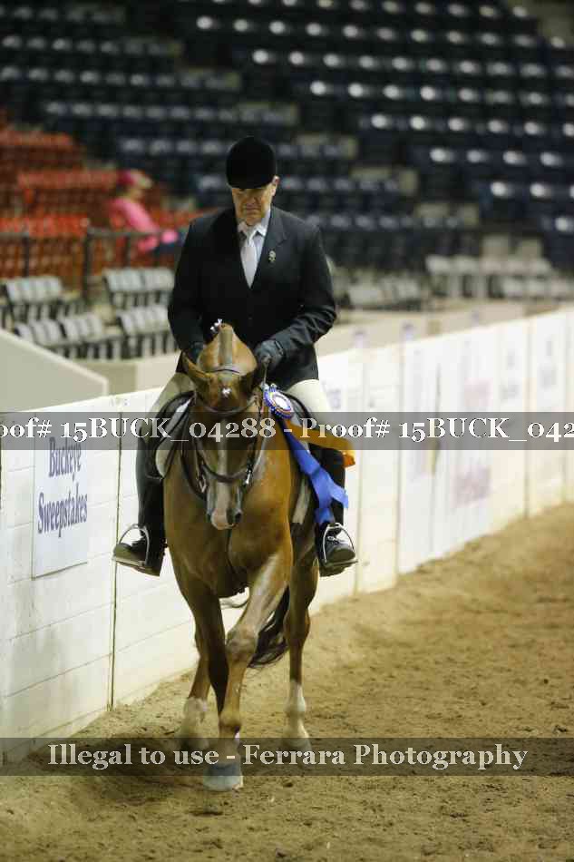 Proof 15BUCK_04288