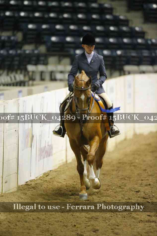 Proof 15BUCK_04289
