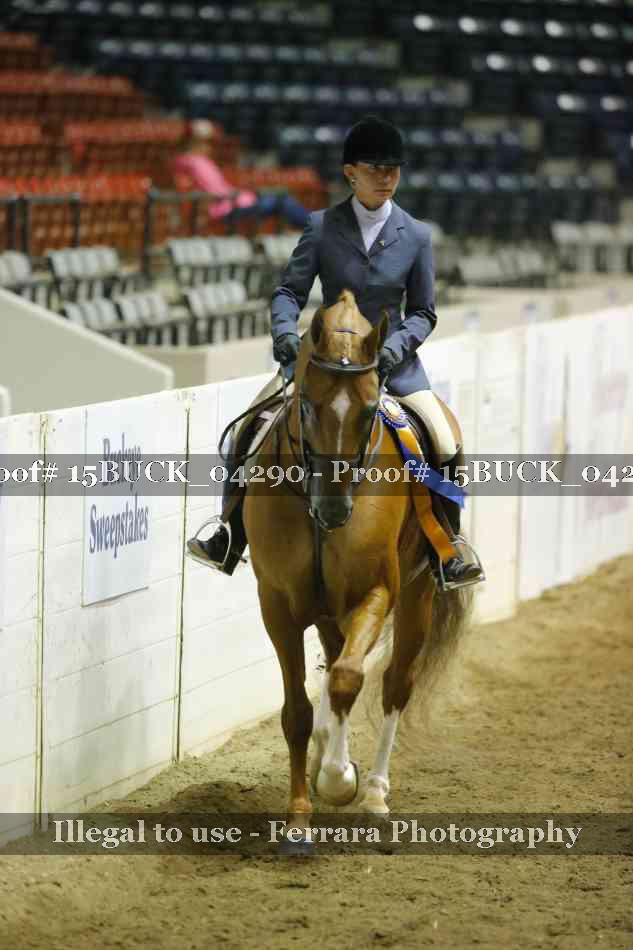 Proof 15BUCK_04290