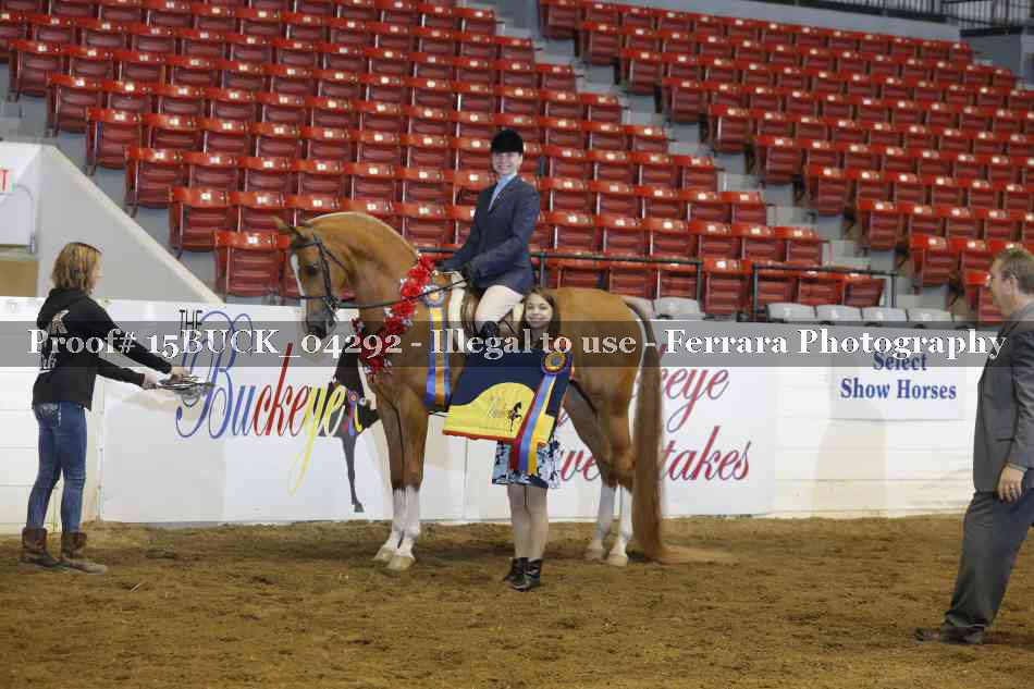Proof 15BUCK_04292