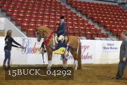 15BUCK_04292 proof
