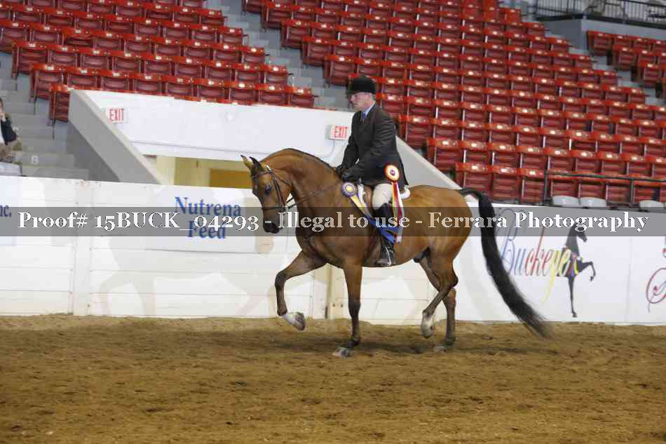 Proof 15BUCK_04293
