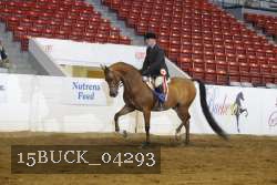 15BUCK_04293 proof