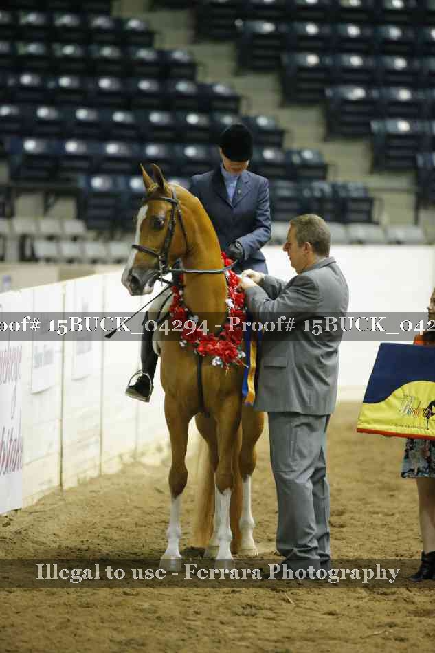 Proof 15BUCK_04294