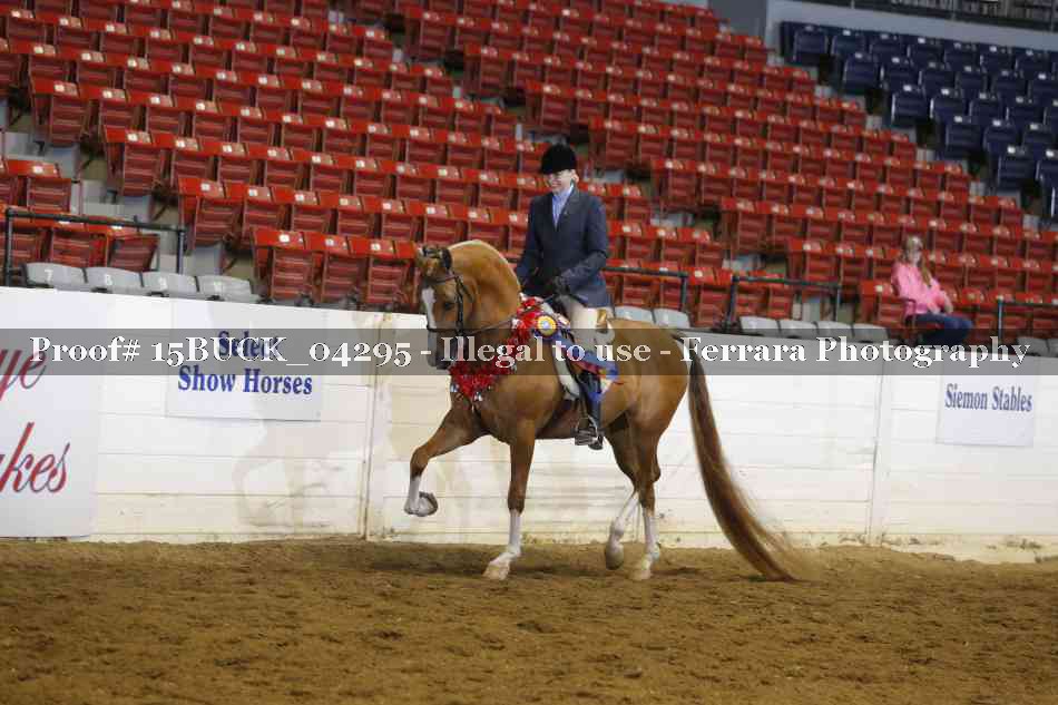 Proof 15BUCK_04295
