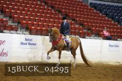 15BUCK_04295 proof