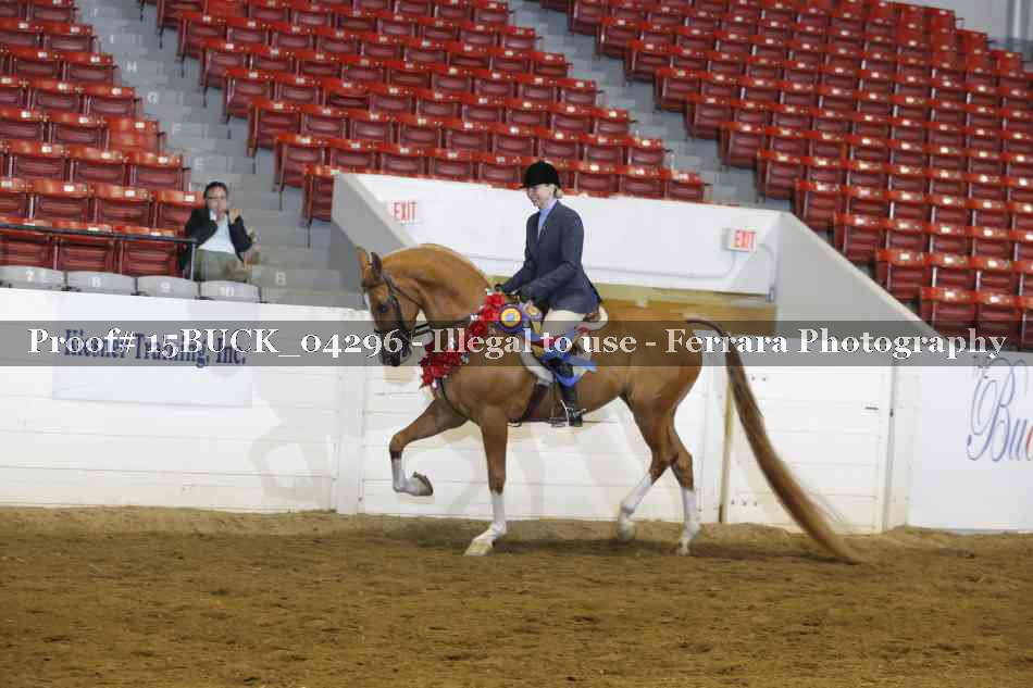 Proof 15BUCK_04296