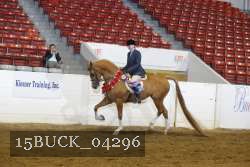 15BUCK_04296 proof