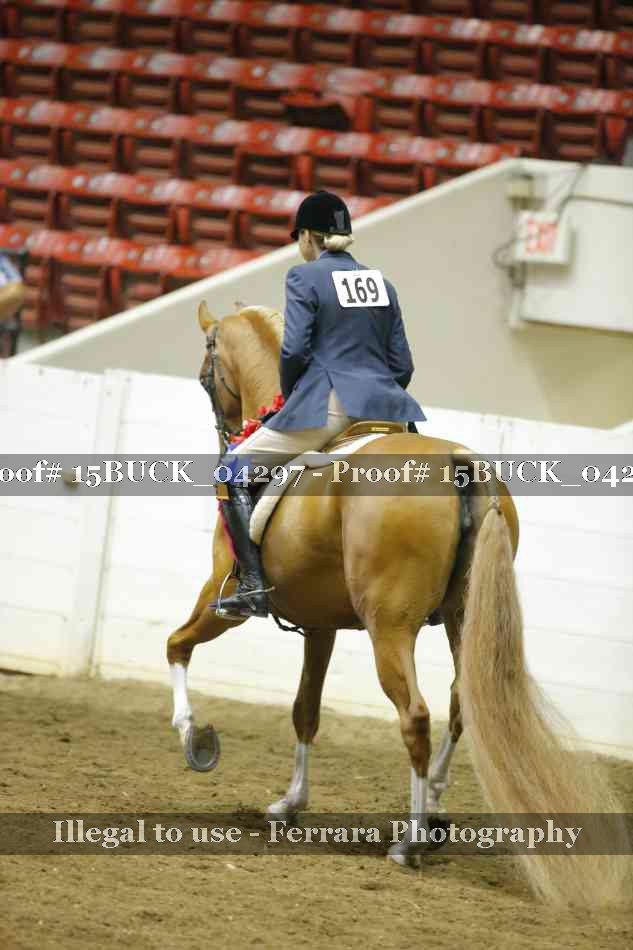 Proof 15BUCK_04297