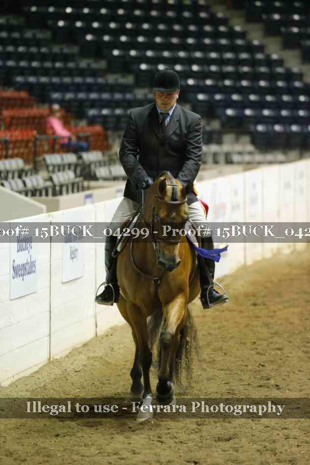 Proof 15BUCK_04299