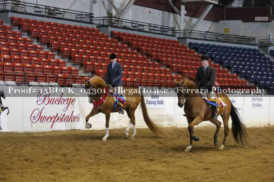Proof 15BUCK_04301