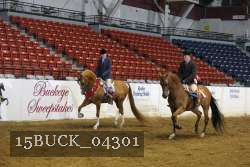 15BUCK_04301 proof