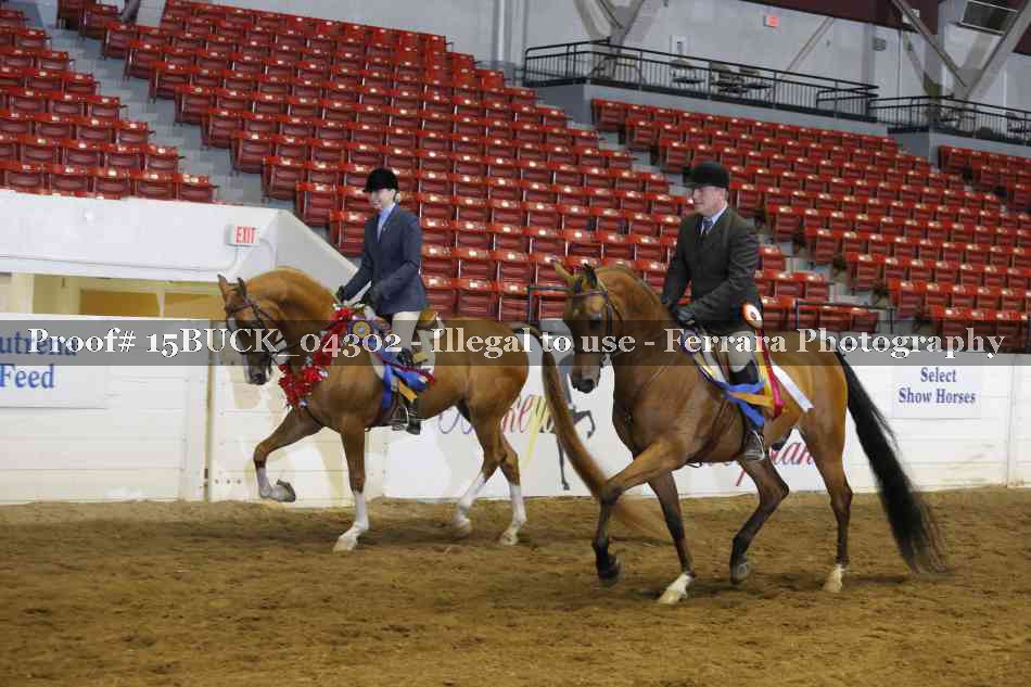 Proof 15BUCK_04302