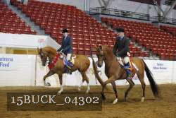 15BUCK_04302 proof