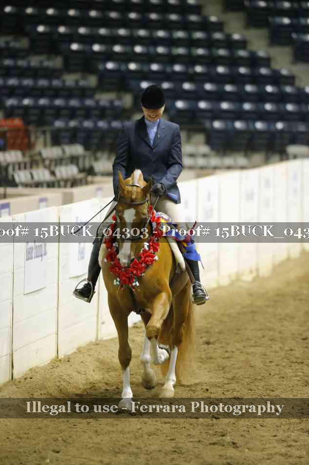 Proof 15BUCK_04303