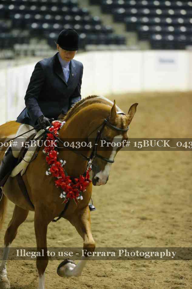Proof 15BUCK_04304