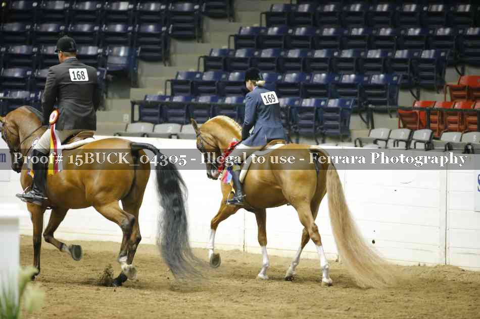 Proof 15BUCK_04305