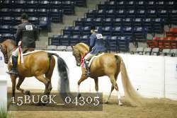 15BUCK_04305 proof