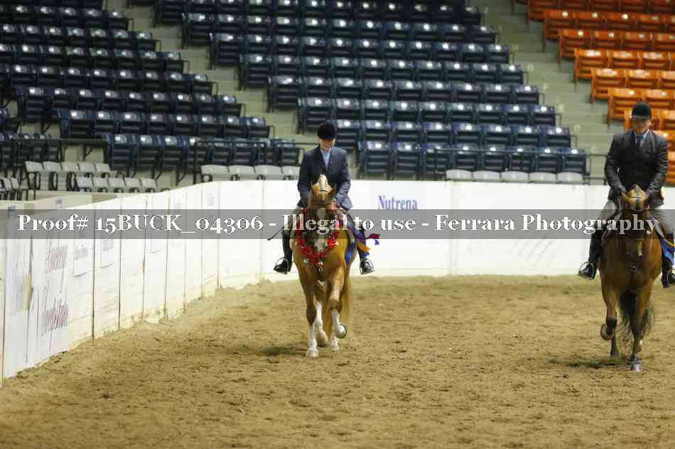 Proof 15BUCK_04306