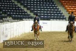 15BUCK_04306 proof