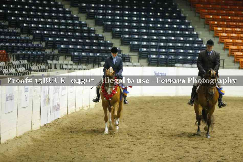 Proof 15BUCK_04307