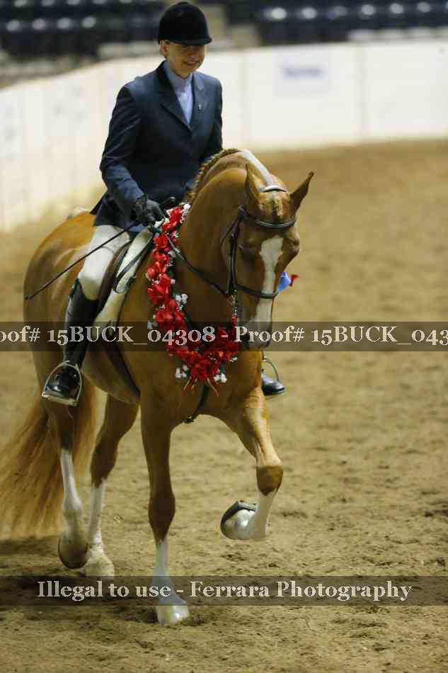 Proof 15BUCK_04308