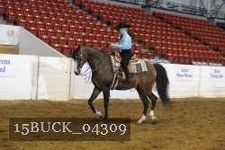 15BUCK_04309 proof