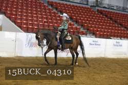 15BUCK_04310 proof