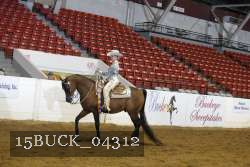 15BUCK_04312 proof