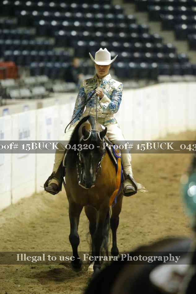 Proof 15BUCK_04320