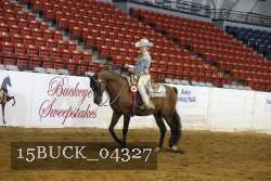 15BUCK_04327 proof
