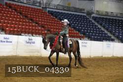 15BUCK_04330 proof