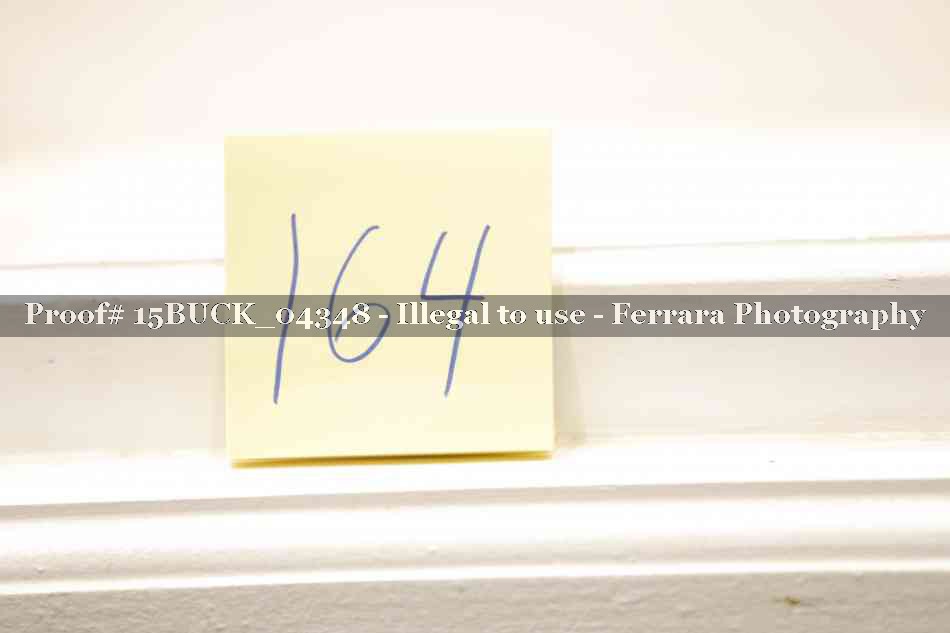 Proof 15BUCK_04348