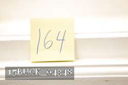 15BUCK_04348 proof
