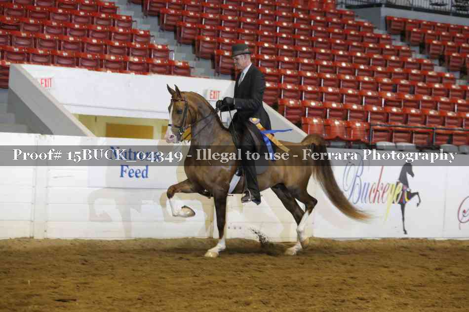 Proof 15BUCK_04349