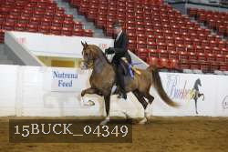 15BUCK_04349 proof