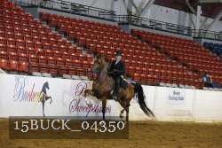 15BUCK_04350 proof