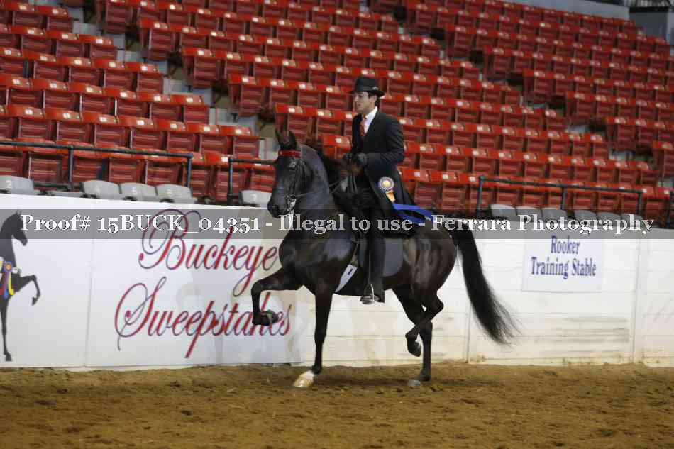 Proof 15BUCK_04351