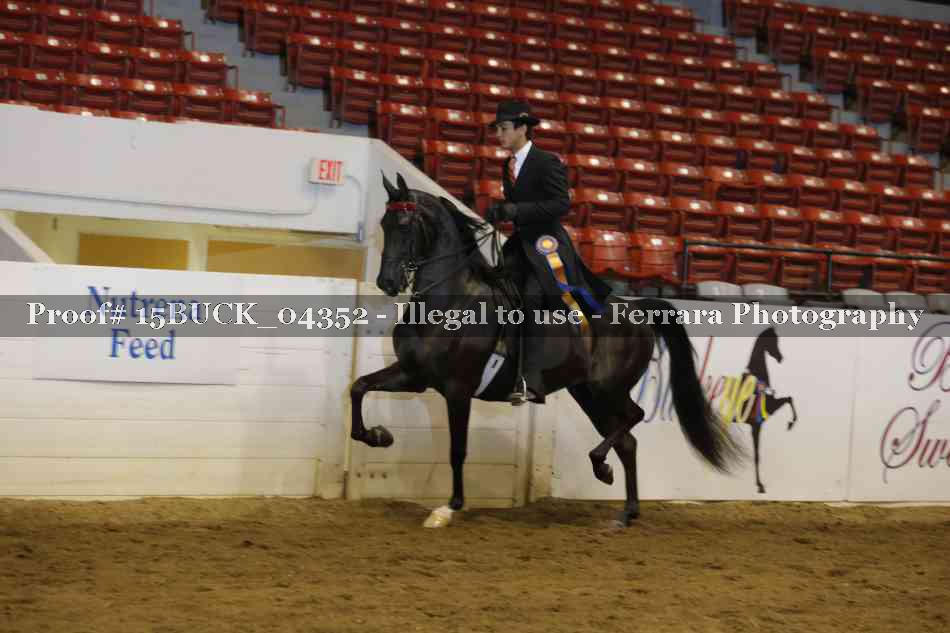 Proof 15BUCK_04352