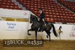 15BUCK_04352 proof