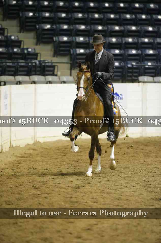 Proof 15BUCK_04353