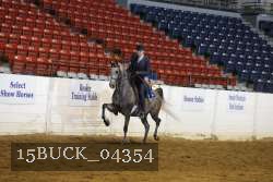 15BUCK_04354 proof