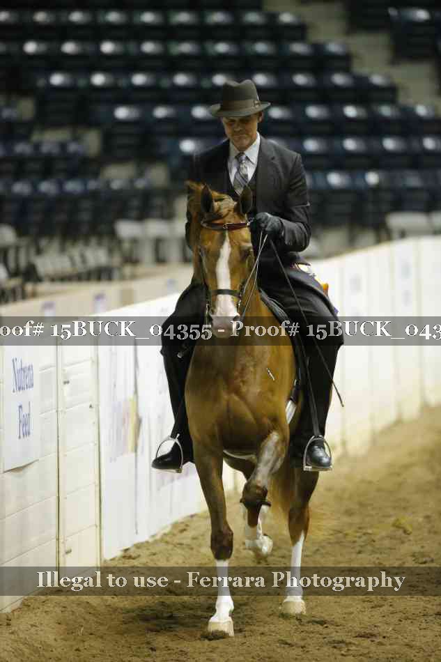 Proof 15BUCK_04355