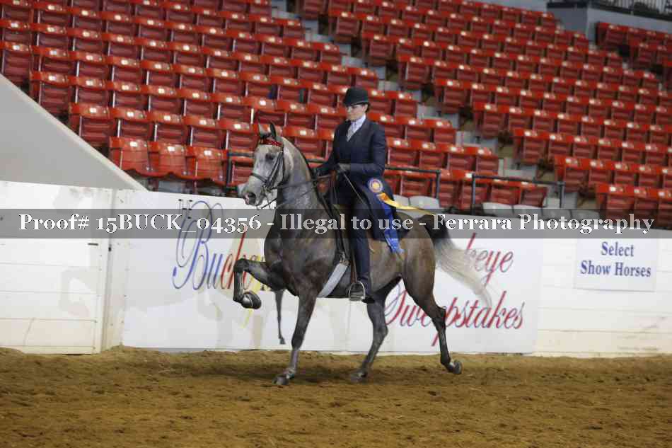 Proof 15BUCK_04356